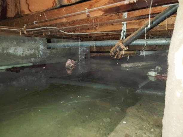 Best Ceiling water damage repair  in Mcgovern, PA
