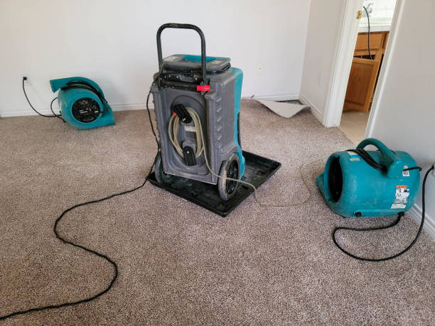 Best Residential water damage restoration  in Mcgovern, PA