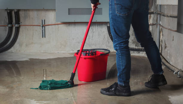 Best Mold removal after water damage  in Mcgovern, PA