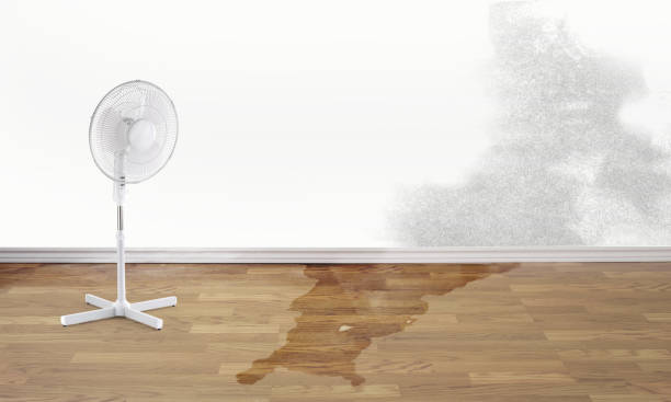 Best Water damage contractors near me  in Mcgovern, PA