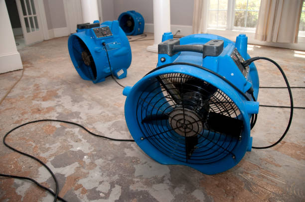 Best Carpet water damage restoration  in Mcgovern, PA