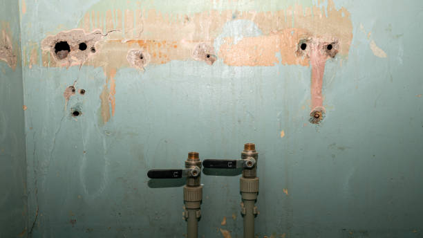 Best Commercial water damage restoration  in Mcgovern, PA