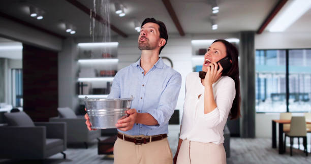 Best Water damage restoration specialists  in Mcgovern, PA